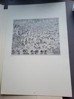 Etsen van James Ensor, Antiek en Kunst, Ophalen of Verzenden