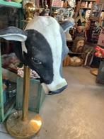 Oude Koeienkop ! Jaren 60 !, Ophalen