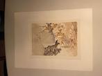 Salvador Dali - lithografie, Antiek en Kunst, Kunst | Schilderijen | Abstract, Ophalen