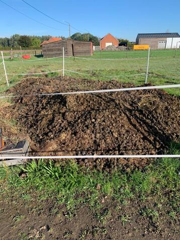  Gratis paardenmest in Voortkapel-Westerlo