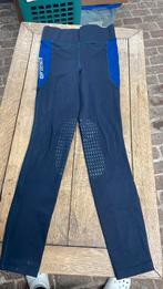 Legging équitation Kingsland, Dieren en Toebehoren, Paardrijkleding, Ophalen of Verzenden