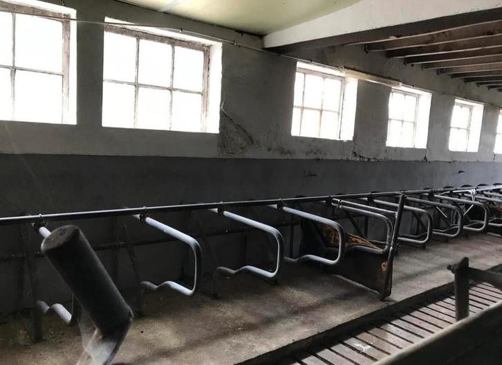 Stalrekken / Ligboxen voor koeien – in perfecte staat, Dieren en Toebehoren, Stalling en Weidegang, Stalling, Weidegang, Accessoires