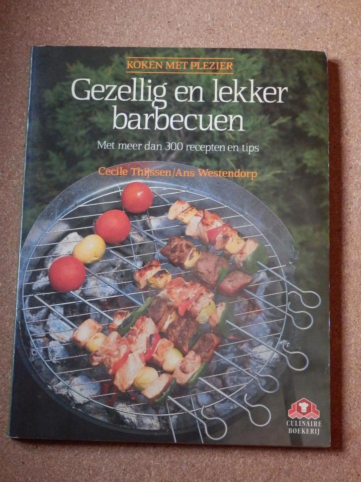Gezellig en lekker barbecuen - C. Thijssen & A. Westendorp, Boeken, Kookboeken, Gelezen, Europa, Ophalen of Verzenden