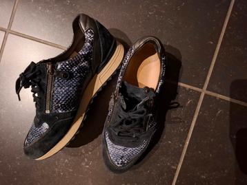 Damesschoenen  beschikbaar voor biedingen