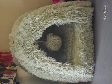 Kattenhuisje beschikbaar voor biedingen