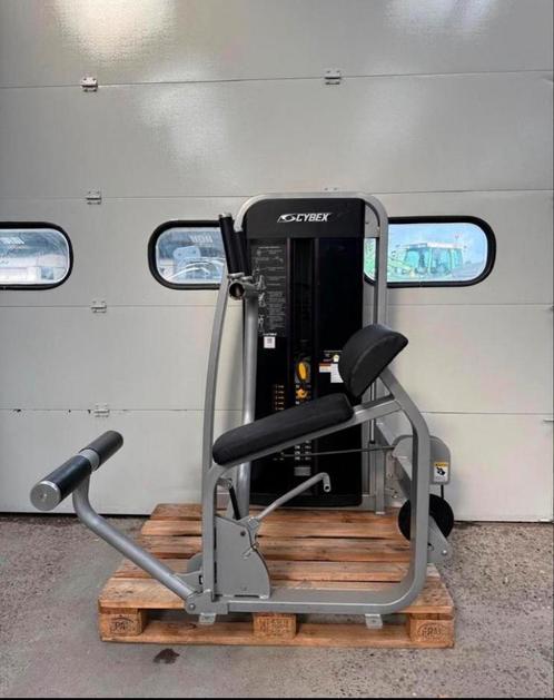 Cybex Eagle Abdominal / abs trainer, Sport en Fitness, Fitnessmaterialen, Gebruikt, Overige typen, Armen, Benen, Borst, Buik, Rug