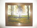 " Herfst landschap " olie. Vintage 70s, Ophalen of Verzenden