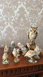 Regency fine arts verzameling uilen, Ophalen