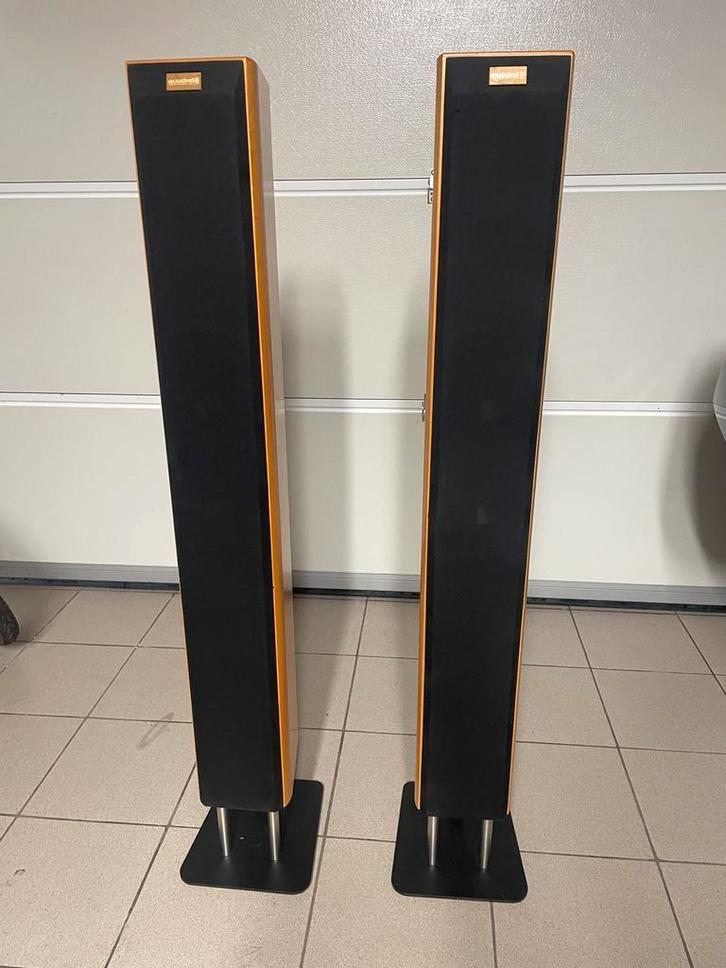 Zuilspeakers Quadral Ascent 850, Audio, Tv en Foto, Luidsprekerboxen, Gebruikt, Front, Rear of Stereo speakers, 120 watt of meer