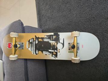 Skate globe beschikbaar voor biedingen