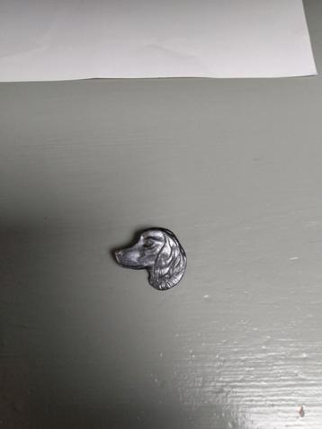 Broche Teckel, hond  beschikbaar voor biedingen