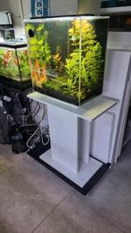 Wegens nieuwe aquariums verkoop ik al deze aquariums!, Dieren en Toebehoren, Vissen | Aquaria en Toebehoren, Ophalen, Zo goed als nieuw