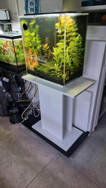 Wegens nieuwe aquariums verkoop ik al deze aquariums! beschikbaar voor biedingen