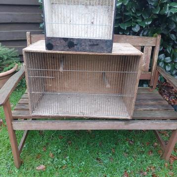 kooi vogels beschikbaar voor biedingen
