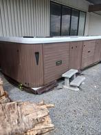 Spa de nage combiné Balboa. Livré gratuitement, Enlèvement ou Envoi