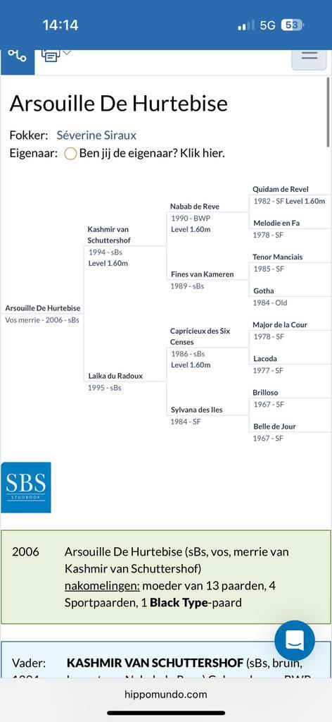 Bewezen fokmerrie met topafstamming (SBS), Dieren en Toebehoren, Paarden en Pony's | Dekhengsten en Fokmerries, Merrie