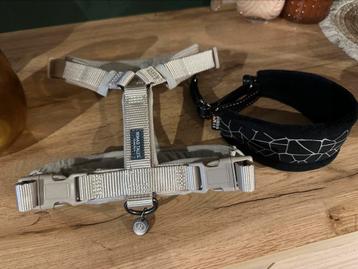 Harnasje en halsband  beschikbaar voor biedingen