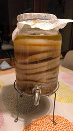 Combucha scoby, Ophalen