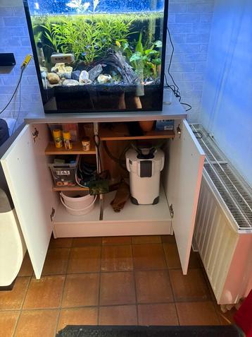 Aquarium avec meuble et accessoires plantes et poissons, Enlèvement, Utilisé, Aquarium d'eau douce rempli