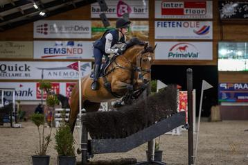 "Luna" schoolmaster 16 jr internationaal eventing ervaring beschikbaar voor biedingen