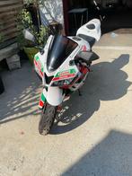 Honda Cbr600 RR - Édition Castrol 2008, 599 cm³, Plus de 35 kW, 4 cylindres, Sport