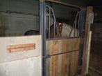 weide met stalling en oefenpiste te huur, Dieren en Toebehoren, Stalling en Weidegang, Stalling, 4 paarden of pony's of meer