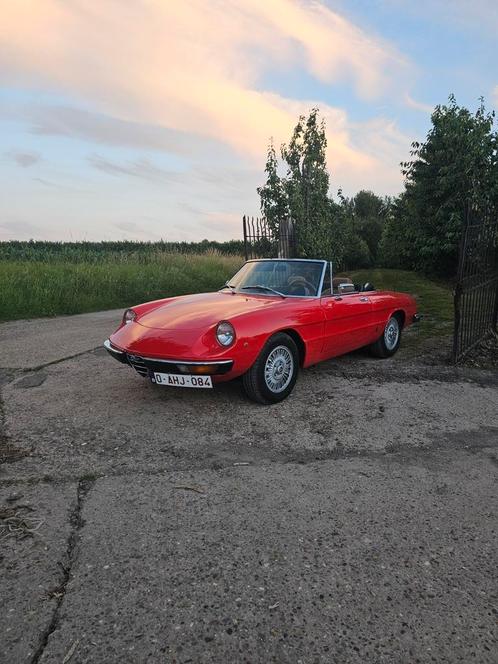 Prachtige Alfa Spider coda tronca 1979 2L, Auto's, Overige Auto's, Particulier, Ophalen
