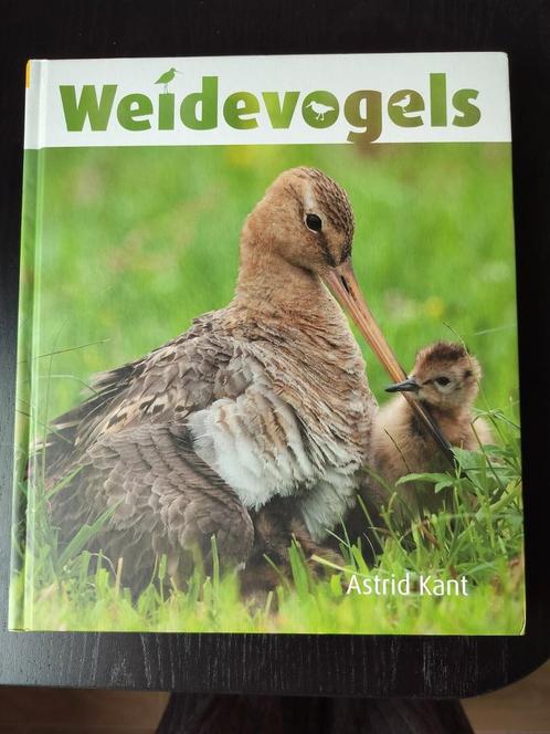 Astrid Kant - Weidevogels, Boeken, Dieren en Huisdieren, Zo goed als nieuw, Vogels, Ophalen of Verzenden