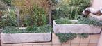 Jardinière béton, Ophalen, Gebruikt, Minder dan 30 cm, 100 cm of meer