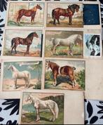 Lot  d’ancienne carte postale, Ophalen of Verzenden