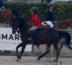 Animo Wedstrijdjasje Rood, Dieren en Toebehoren, Ophalen of Verzenden, Zo goed als nieuw, Springen