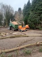 Hakselen en verwijderen van bomen, Ophalen of Verzenden