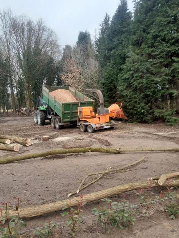 Hakselen en verwijderen van bomen  beschikbaar voor biedingen
