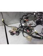 ninja 300R 2012 - 2017 Kawasaki Kabelboom D1-43050, Motoren