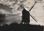ST-IDESBALD -  De Oude Molen, Verzamelen, Postkaarten | België, Verzenden, 1940 tot 1960, Gelopen, West-Vlaanderen