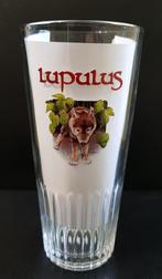 LUPULUS glas 25cl M20, Ophalen of Verzenden, Nieuw, Bierglas