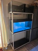3 Aquarium + Aquarium stelling, Dieren en Toebehoren, Ophalen, Zo goed als nieuw, Leeg aquarium