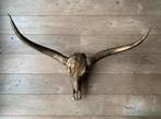 Longhoorn skull dierenschedel longhorn skulls dierenhoofd, Envoi, Neuf