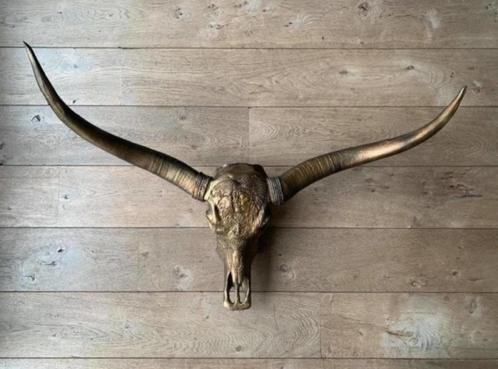 Longhoorn skull dierenschedel longhorn skulls dierenhoofd, Maison & Meubles, Accessoires pour la Maison | Décorations murale, Neuf