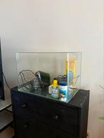 Aquarium 55L et accesoires, Ophalen, Gebruikt, Leeg aquarium