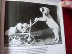 Foto's van Curious Moments, Ophalen of Verzenden, Zo goed als nieuw, Fotografie algemeen