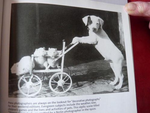 Foto's van Curious Moments, Boeken, Kunst en Cultuur | Fotografie en Design, Zo goed als nieuw, Fotografie algemeen, Ophalen of Verzenden