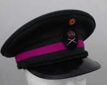 groupe de musique des guides kepie, Envoi, Armée de terre, Autres types