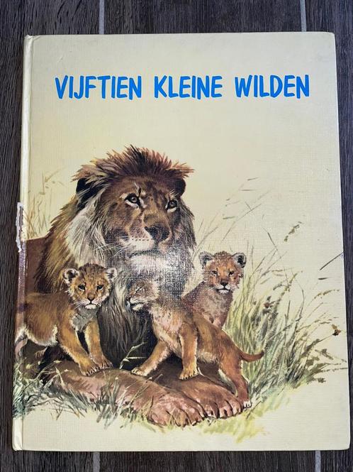 Kinderboek ‘Vijftien Kleine Wilden’ 1969, Boeken, Kinderboeken | Jeugd | onder 10 jaar, Gelezen, Ophalen of Verzenden