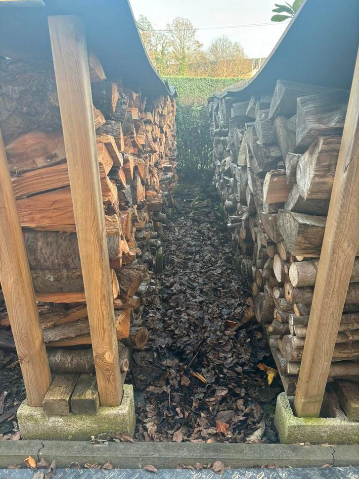 Brandhout 250€ voor 2,5 kubieke meter geleverd!!!, Tuin en Terras, Brandhout, Essenhout, Ophalen