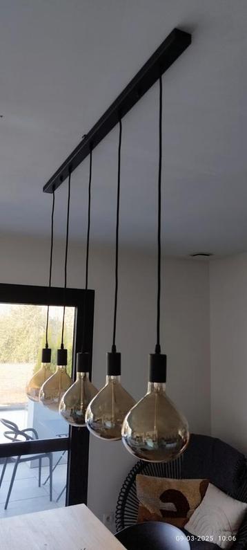Hanglamp incl 5 lampen beschikbaar voor biedingen