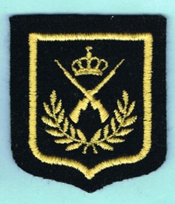 ABL Breast Pocket Insignia ( A47 ) beschikbaar voor biedingen