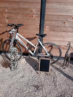 Damensfiets norta, Fietsen en Brommers, Fietsen | Dames | Sportfietsen en Toerfietsen, Ophalen of Verzenden, Zo goed als nieuw