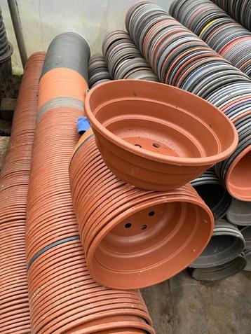 500 stuks plantenschotels rond  beschikbaar voor biedingen