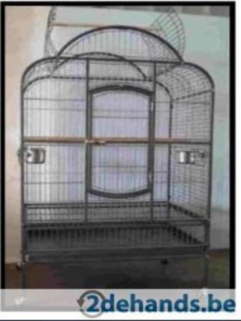 Cage pour perroquets Bora, Animaux & Accessoires, Oiseaux | Cages & Volières, Neuf, Cage à oiseaux, Métal, Enlèvement ou Envoi